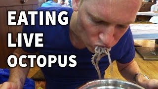 Eating Live Octopus in Korea [upl. by Vanessa258]