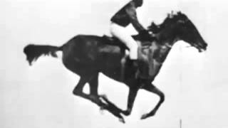 The horse in motion Eadweard Muybridge 1878 First Film Ever [upl. by Hama]