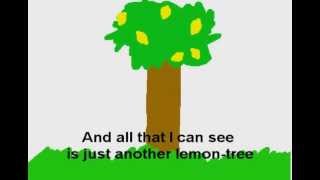 LEMON TREE  Fools Garden with LYRICS [upl. by Shaikh]