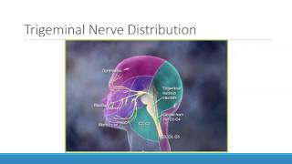 How to treat sinusitis  NHS [upl. by Kinom]