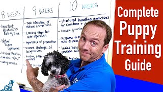 Your Complete Puppy Training Schedule By Age [upl. by Marmaduke]