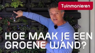 Hoe maak je een groene wand Tuinaanleg  Tuinmanieren [upl. by Lotsyrk]