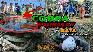 Cobra Pumatay ng Bata sa Talavera NE  Part 2  ZUMA HARING AHAS [upl. by Annaigroeg548]