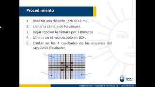 Recuento manual de leucocitos [upl. by Bernie]