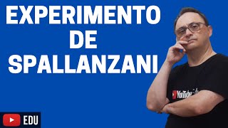 O EXPERIMENTO DE SPALLANZANI [upl. by Griff585]