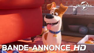 Comme Des Bêtes 2  bandeannonce 1 Universal Pictures HD [upl. by Hughett]