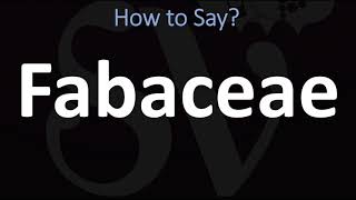 How to Pronounce Fabaceae CORRECTLY [upl. by Lexis588]