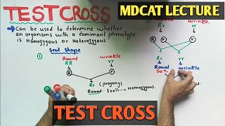 Test cross  NMDCAT 2021 [upl. by Neddy173]