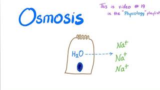 Osmosis  Physiology [upl. by Jimmy399]