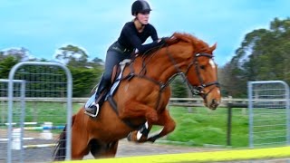 SHOWJUMPING EQUESTRIAN COMPILATION  Ride With Me 1 Eventer Vlog [upl. by Adnawuj]