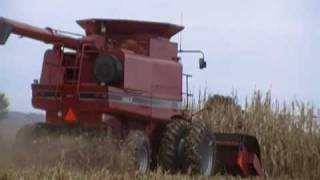 Case IH 2188 combine [upl. by Divine]