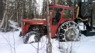 Massey Ferguson 35 in forest [upl. by Yraeht]