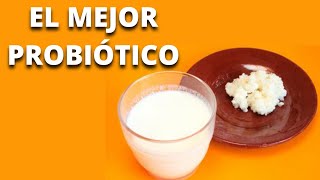 KEFIR BENEFICIOS para la SALUD de este alimento ancestral búlgaros [upl. by Calore152]