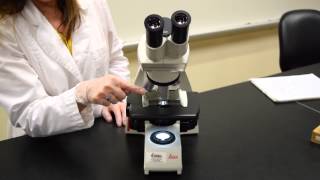 Parts of the Microscope  MCCC Microbiology [upl. by Ittocs]