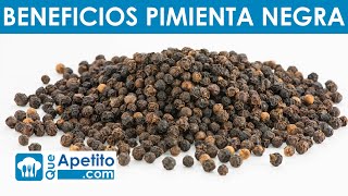 8 Propiedades y Beneficios de la Pimienta Negra  QueApetito [upl. by Richmond613]