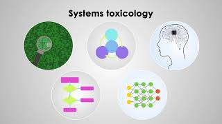 Systems Toxicology integrates toxic effects from human cells to population [upl. by Acimot]