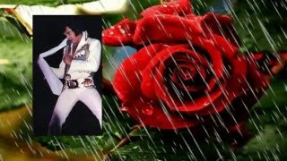 Elvis Presley  The Twelfth Of Never  rehearsal with lyrics [upl. by Alika583]