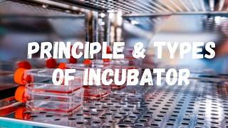 Principle and Types of Incubator [upl. by Willamina]