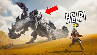 Monster Hunter Wilds WTF amp Funny Moments 1 [upl. by Ayenat]