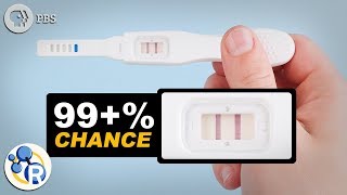 How Do Pregnancy Tests Work [upl. by Boylan]