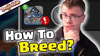 HOW TO BREED CHIMMIT DRAGON DRAGONVALE [upl. by Terrej]