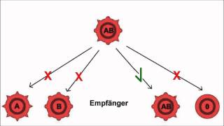 Blutgruppen [upl. by Ri]