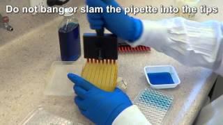 Multichannel Pipetting [upl. by Hoffer171]