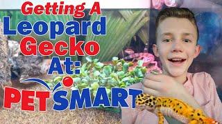 Getting a Leopard Gecko at PetSmart [upl. by Ardene]