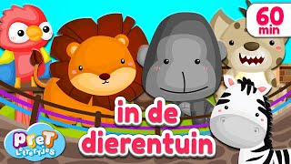 Pretlettertjes • Dierengeluiden in de Dierentuin • 60 min Special [upl. by Ecire879]