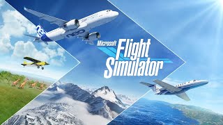 Microsoft Flight Simulator 2020 Tuto Caméra Setting Joystick [upl. by Yssenhguahs588]