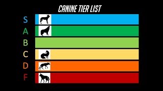 The Dog Tier List [upl. by Jammal79]