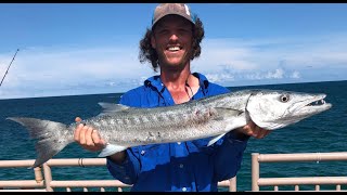 SNOOK JACK CREVALLE and BARRACUDA Miami Florida Pier Fishing [upl. by Lever]