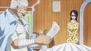 Smokey Learns About Luffy and Laws Victory  One Piece 736 [upl. by Cannell]