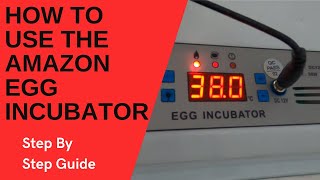 The Amazon 16 Egg Incubator A Beginners Guide [upl. by Nodnas]