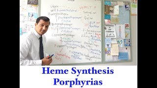 Heme synthesis and Porphyria [upl. by Sudnac]