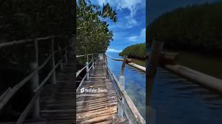 Bohol shortvideo [upl. by Nnylimaj]