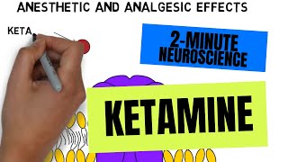 2Minute Neuroscience Ketamine [upl. by Yrrac]