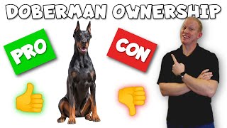 Doberman Pinscher Pros and Cons  From an ACTUAL Owner [upl. by Tessie]