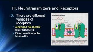 Neurotransmitters [upl. by Aon801]