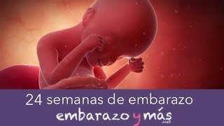 24 semanas de embarazo  Sexto mes  EMBARAZOYMAS [upl. by Suhploda148]