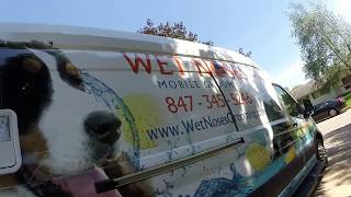 Wetnoses Mobile Grooming Van Walk Through [upl. by Dukey]