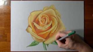 Yellow rose on grey paper mixed media drawing [upl. by Latoye953]