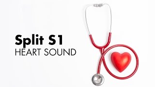 Split S1  Heart Sounds  MEDZCOOL [upl. by Lumbye501]