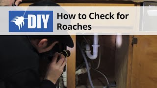 Cockroach Inspection  Learn Where Roaches Hide  DoMyOwncom [upl. by Huberty]