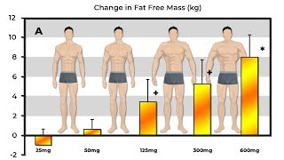 Exactly How Much Muscle Does 25mg 50mg 125mg 300mg amp 600mg Of Testosterone Build [upl. by Froma]