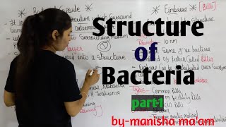 Structure of Bacteria  in hindi Bacteriology  By Manisha Maam  Microbiology [upl. by Ma]