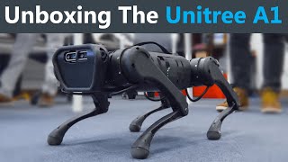 Unboxing a LowCost Robot Dog [upl. by Janos815]