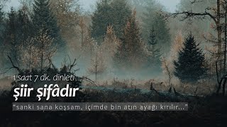 şiir şifâdır  en sevilenler 1 saat dinleti [upl. by Arreip]