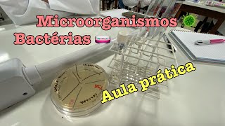 AULA PRÁTICA NO LABORATÓRIO coleta de bactérias no meio de cultura e análise no microscópio [upl. by Benedicto]