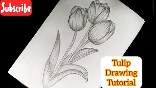 Easy Tulips Drawing For Beginners  Flower Drawing [upl. by Gault]